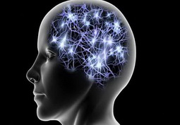  آیا مغز انسان برق دارد؟