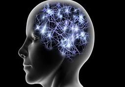  Does the Human Brain Generate Electricity?